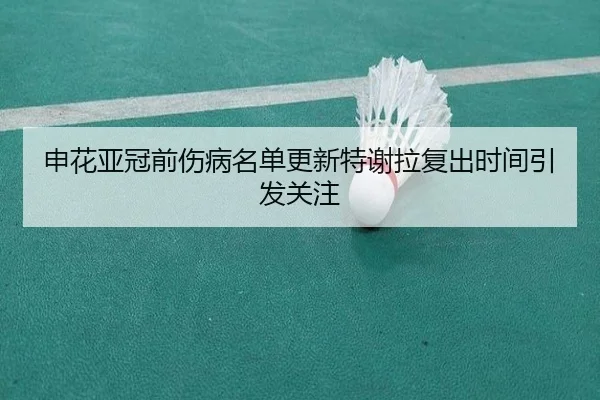 申花亚冠前伤病名单更新特谢拉复出时间引发关注